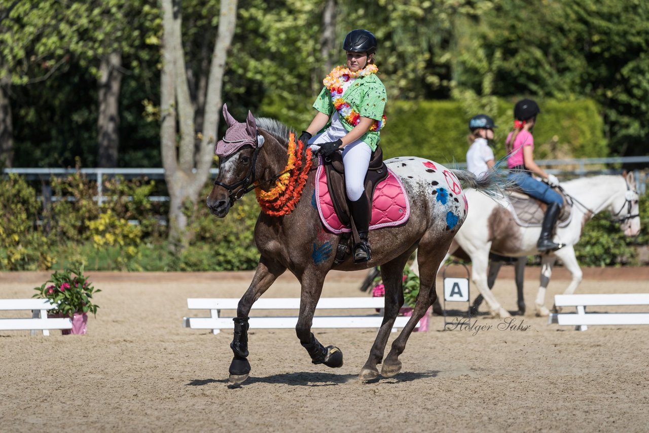 Bild 73 - Pony Akademie Turnier